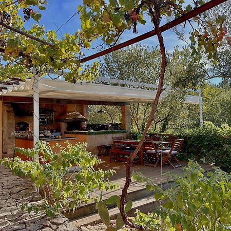 Glamping Do Ze Hotel Cernache do Bonjardim Buitenkant foto