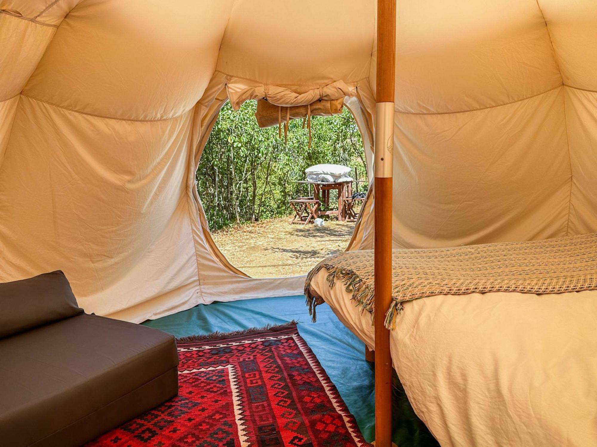 Glamping Do Ze Hotel Cernache do Bonjardim Buitenkant foto