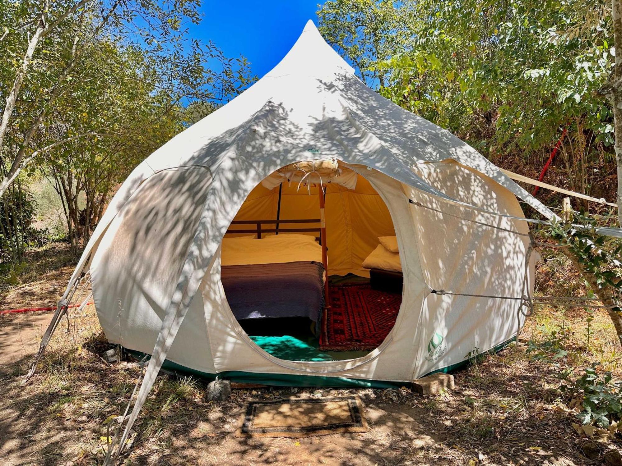 Glamping Do Ze Hotel Cernache do Bonjardim Buitenkant foto