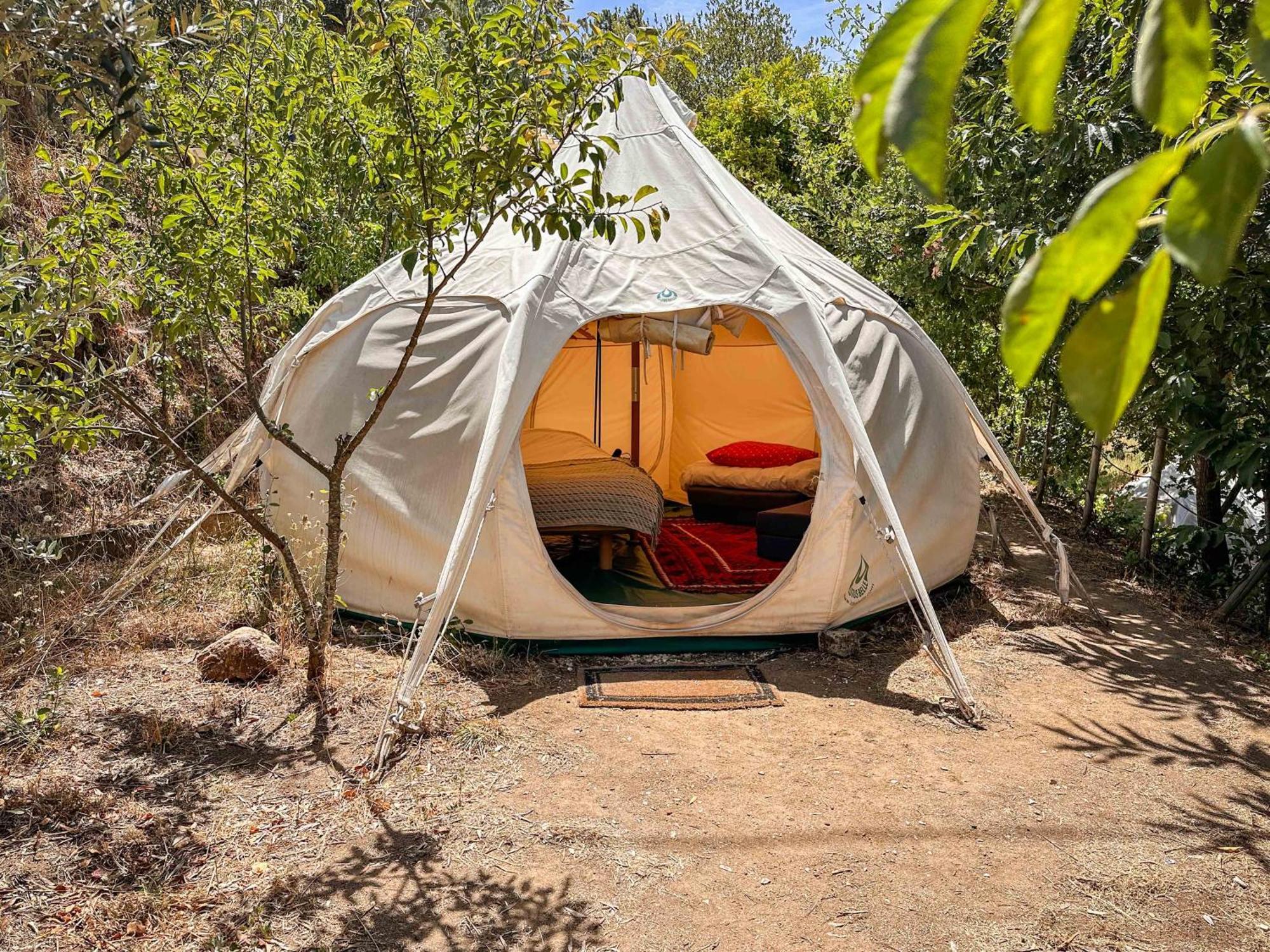 Glamping Do Ze Hotel Cernache do Bonjardim Buitenkant foto